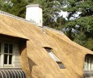 Zijn rieten daken verzekerbaar?